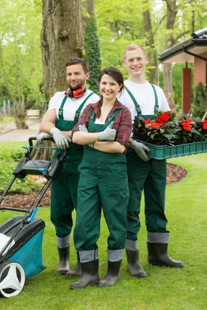 Servicios de Jardinería